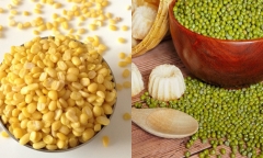 Công dụng của đậu xanh và những lưu ý khi sử dụng
