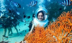 Tour đi bộ dưới biển Phú Quốc có gì đặc sắc mà khiến du khách mê mệt?