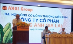 Hoàng Anh Gia Lai đặt mục tiêu xóa lỗ lũy kế trong năm nay