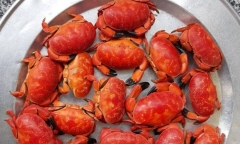 Món ăn nổi tiếng có tên 