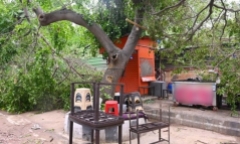 Cành cây gãy làm hỏng dây điện, 2 thiếu niên bị giật tử vong, nghe hoàn cảnh gia đình mà xót xa