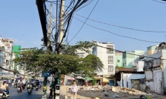 TPHCM chuẩn bị đốn hạ, di dời hơn 450 cây xanh để thi công tuyến metro số 2
