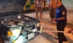 Video: Rùng mình phát hiện trăn khổng lồ dài gần 5m ẩn nấp trong ô tô