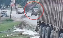 Clip: Đang đi trên đường, xe ba bánh bị cây xoài khô đổ đè trúng, 4 người nhập viện