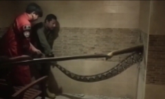Clip: Thót tim khoảnh khắc bắt trăn