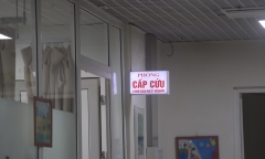 Sáu người ở Thanh Hóa bị ngộ độc nghi do ăn bọ xít 