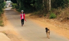 Gia Lai: Người đàn ông tử vong sau 2 tháng bị chó cắn