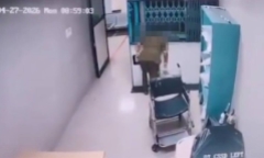 Sáu người ở Thanh Hóa bị ngộ độc nghi do ăn bọ xít 