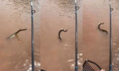 Clip: Người phụ nữ bất ngờ trèo ra cửa sổ căn hộ, hàng xóm hoang mang tột độ