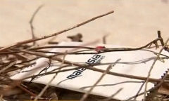 MH370 mất tích: Thân nhân hành khách lo sợ bị lãng quên