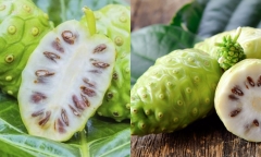 Loại quả xấu xí, mùi hắc nhưng lại là “thuốc chống ung thư tự nhiên” rất hiệu quả, được nhiều người săn lùng