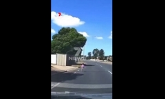 Clip: Thót tim khoảnh khắc bé gái chập chững lao ra giữa làn xe trên cao tốc