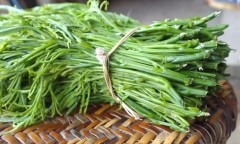 Loại rau đứng từ xa đã ngửi mùi thối nhưng ai cũng tranh nhau mua, giá 200.000 đồng/kg