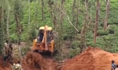 Khoảnh khắc giải cứu voi con khỏi giếng sâu sau 10 giờ vật lộn