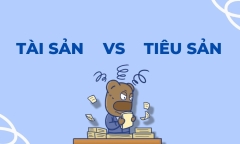 Cách phân biệt tài sản và tiêu sản