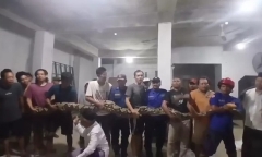 Clip: Rợn người cảnh bắt 