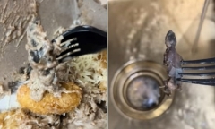 Clip: Đang ăn bánh, người phụ nữ 