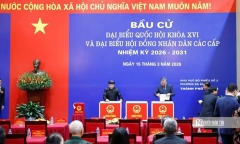 Chủ tịch Ủy ban Bầu cử Đà Nẵng: Không chủ quan trong giai đoạn “nước rút” sau bầu cử
