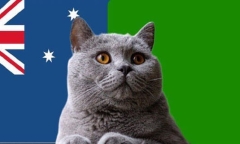 Nhận định soi kèo trận Australia-Zambia Olympic Paris, 0h ngày 29/7: Mèo tiên tri tin tưởng Kangaroo