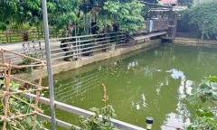 Thông tin mới nhất về cơn bão số 1