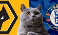 Alisson bị đồng đội 