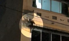 Thanh niên có biểu hiện bất thường, đu dây ở tầng 3 khách sạn như 