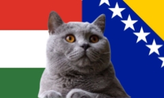 Nhận định soi kèo Hungary vs Bosina, Nations League 1h45 ngày 11/9: Chú mèo chọn đúng?