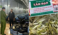Vụ gần 3.000 tấn giá đỗ ủ chất cấm: UBND tỉnh Đắk Lắk chỉ đạo