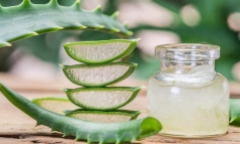 Điểm tên những lợi ích sức khỏe từ cây lô hội