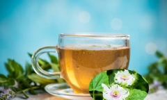 Được mệnh danh là “thần dược” chữa mất ngủ, uống nhiều nước lạc tiên liệu có tốt?