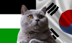 Nhận định soi kèo trận Hàn Quốc vs Palestine, 18h ngày 5/9: Mèo tiên tri chọn “ông kẹ” châu Á