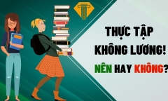 Sinh viên có nên thực tập không lương khi chưa có kinh nghiệm?