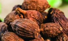 Điểm danh 10 loại thảo mộc giúp bạn đánh bại cơn nóng