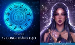 Tử vi vui 12 cung hoàng đạo ngày 24/5: Kim Ngưu có thể trau dồi sự tự tin