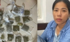 Bắt giữ Phạm Thị Thơm về hành vi mua bán trái phép chất ma túy
