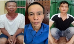 Bắt đối tượng bán ma túy xây dựng hệ thống cảnh giới tinh vi, nuôi chó dữ để bảo vệ nơi trú ẩn