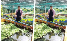 Anh nông dân trẻ măng kiếm 