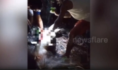Clip: Thương tâm cậu bé 7 tuổi bị cá sấu cắn tử vong khi đi tắm cùng bạn