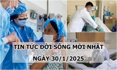 Tin tức đời sống 30/1: Người phụ nữ lập kỷ lục sau ca ghép thận lợn chỉnh sửa gene