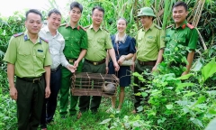 Phát hiện con vật  "lạ " toàn thân phủ vẩy cứng, mõm nhọn ở Nghệ An
