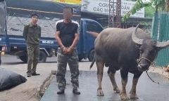 Công an tỉnh Thái Nguyên vận động thành công đối tượng truy nã ra đầu thú