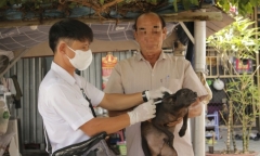 TP.HCM: Bị chó nhà cắn, 2 nạn nhân tử vong thương tâm