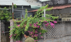 Vụ phát hiện thi thể người đàn ông đang phân hủy trong nhà ở Đồng Nai: Hiện trường có gì?