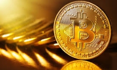 Giá bitcoin hôm nay 24/11: Giá bitcoin lao xuống dưới ngưỡng 8.000 USD
