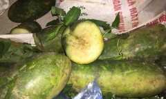 Vụ hàng chục học sinh tiểu học nhập viện: Tạm đình chỉ cơ sở bán trà sữa nghi gây ngộ độc