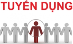 Báo Đời sống & Pháp luật tuyển phóng viên kinh tế, pháp luật
