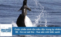 Cuộc chiến sinh tồn: Hé lộ về