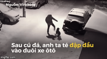 Video: Sau cú đá vào đầu con chó, người đàn ông ngã đập đầu vào đuôi ôtô