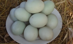Thông tin mới nhất vụ trưởng phòng huyện