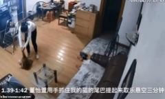 Cô gái bật khóc vì bất lực khi thấy mèo cưng bị bạn cùng phòng hành hạ dã man